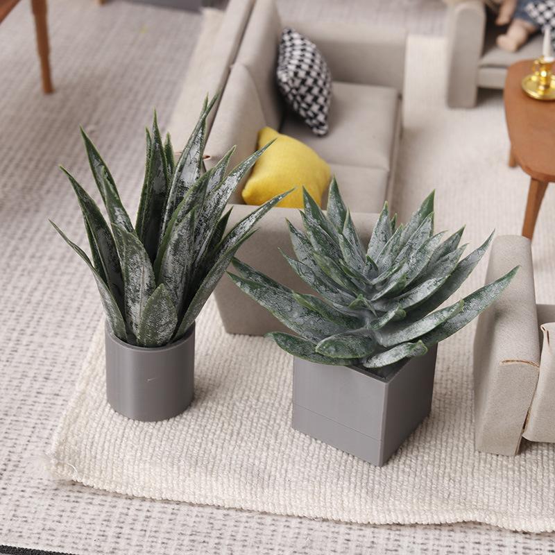 Aloe Vera Pot - Miniatura de Planta de Aloe Vera