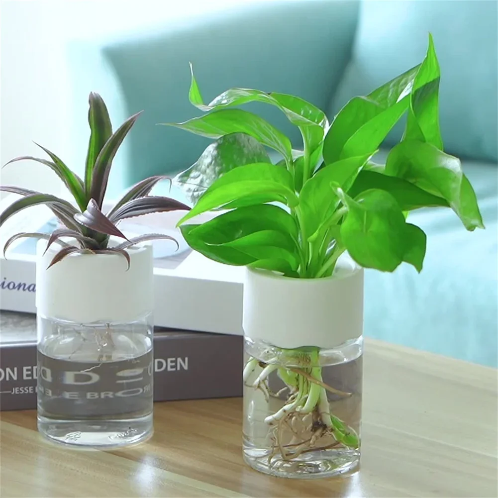 Aloe Vera Pot - Mini Maceta Hidropónica Transparente, Florero sin