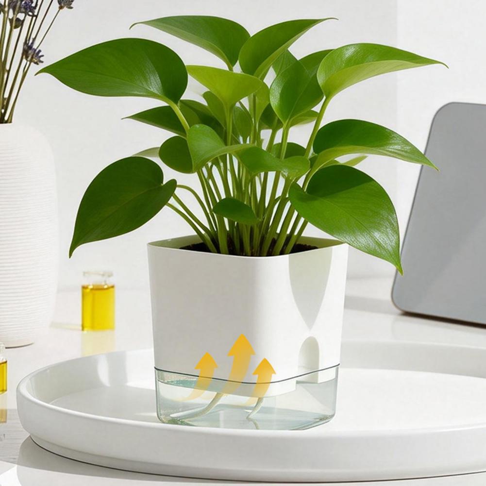 Aloe Vera Pot - Macetas con Riego Automático, Maceta con