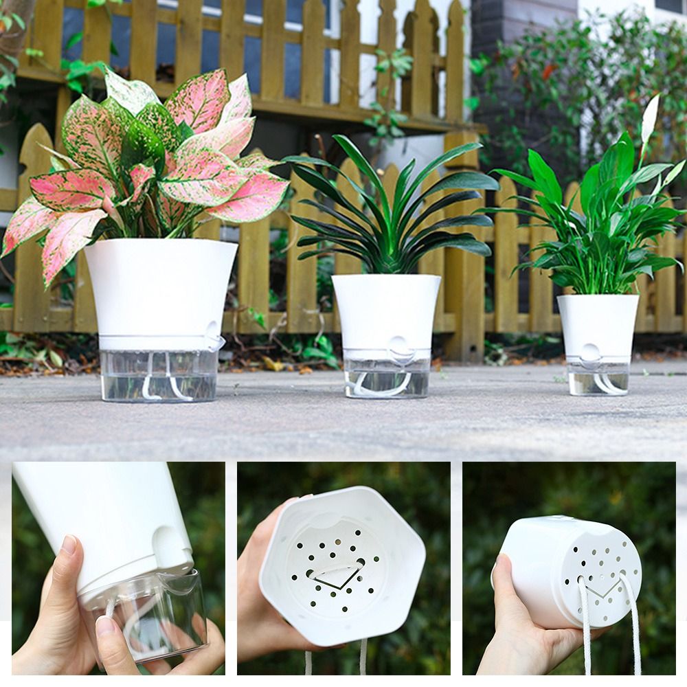 Aloe Vera Pot - Maceta de plástico transparente de doble