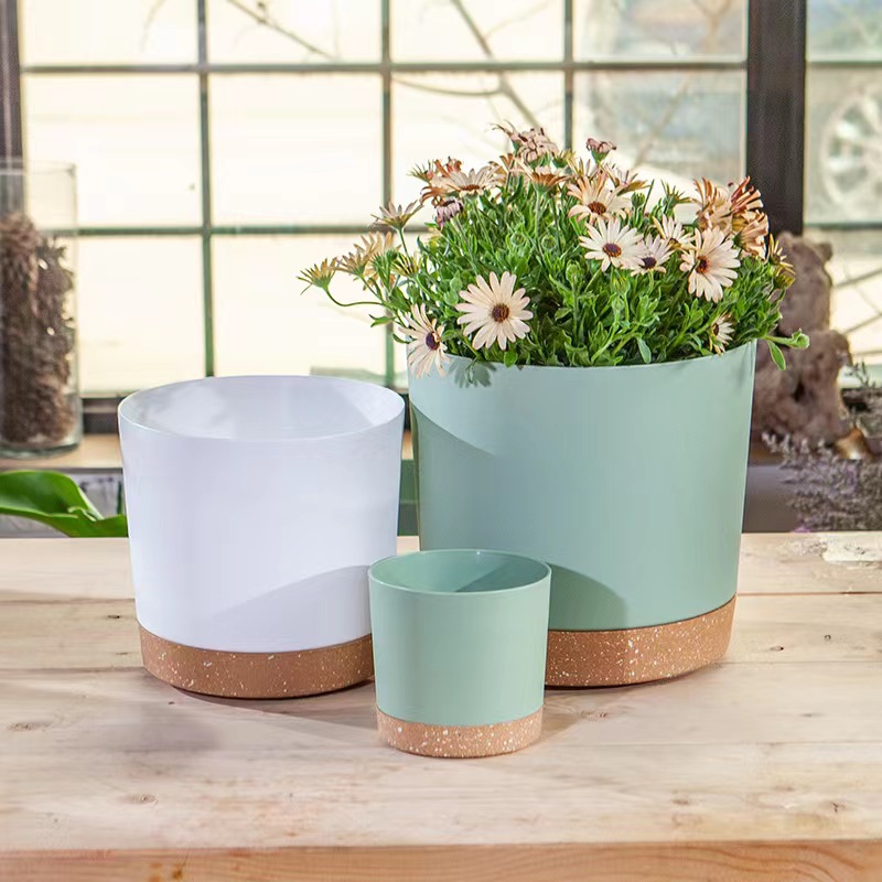 Aloe Vera Pot - Macetas para plantas, macetas grandes y