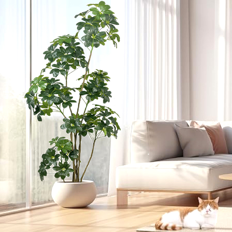 Árbol Tropical de plantas arti - Dracaena Marginata reseña y precio