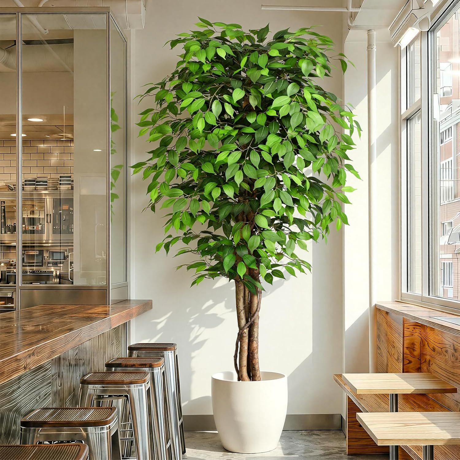 Árbol de Ficus Artificial Real - Monstera Adansonii reseña y precio