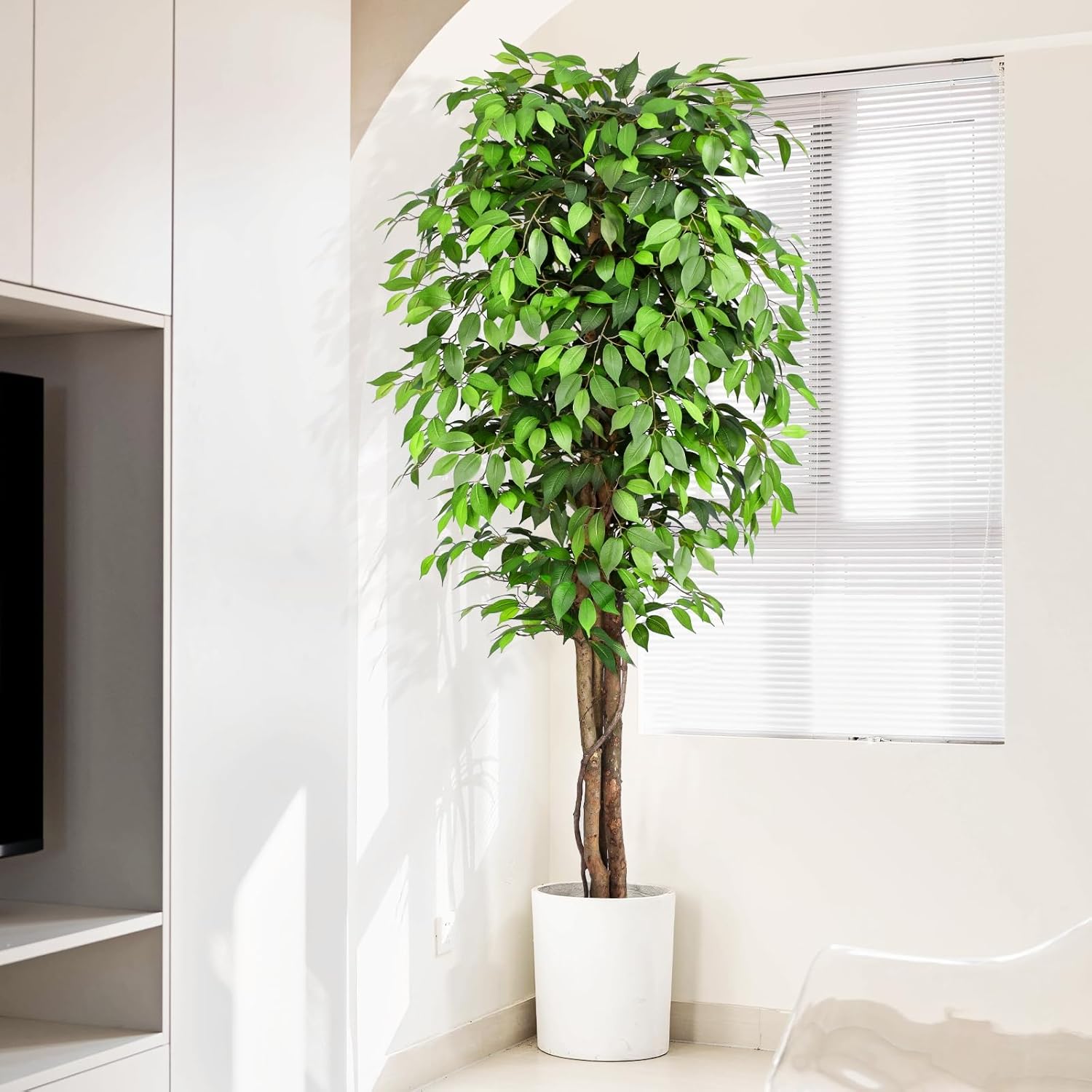 Árbol de Ficus Artificial Real - Monstera Adansonii reseña y precio