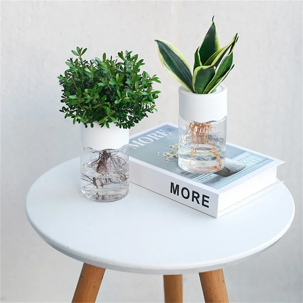 Mini Maceta Hidropónica Transp - Aloe Vera Pot reseña y precio