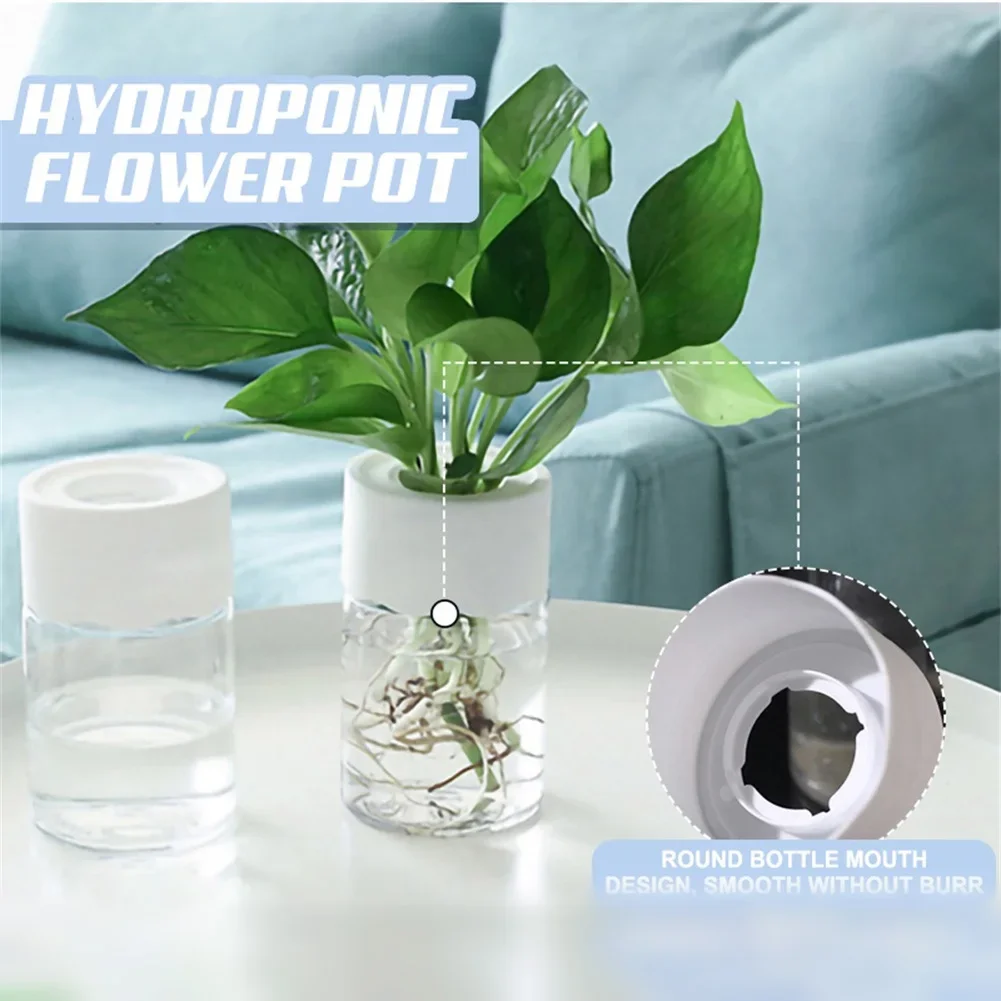 Mini Maceta Hidropónica Transp - Aloe Vera Pot reseña y precio