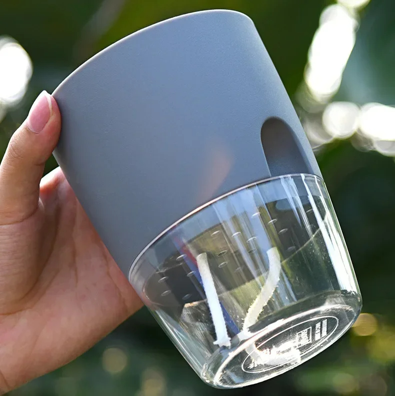 Maceta Transparente de Doble C - Aloe Vera Pot reseña y precio