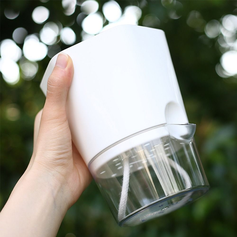 Maceta de plástico transparent - Aloe Vera Pot reseña y precio