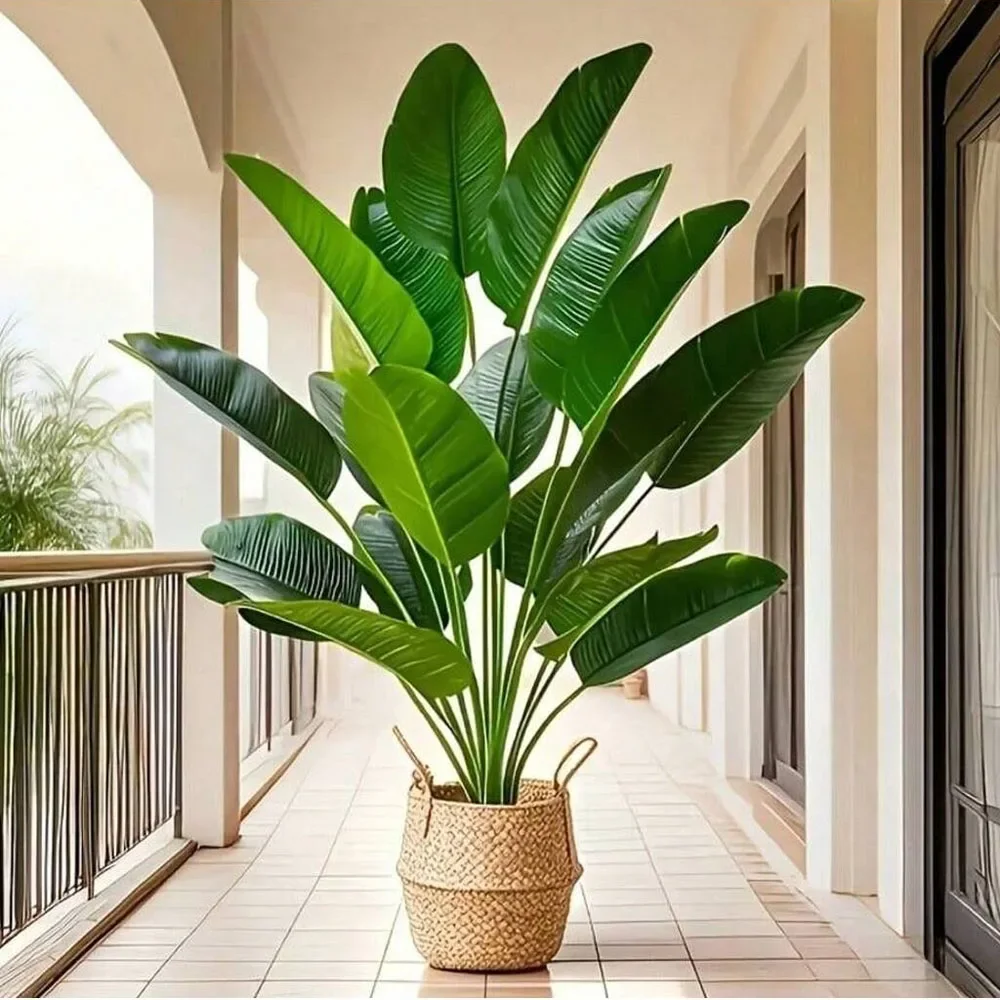 1 unidad de plantas artificial - Dracaena Marginata reseña y precio