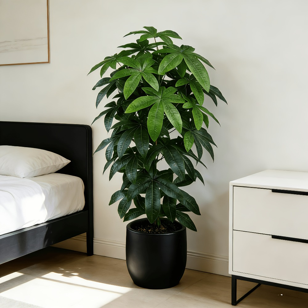 Árbol del Dinero Artificial Pa - Monstera Adansonii reseña y precio